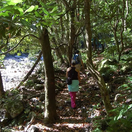Nature Madeira - Glamping 2*